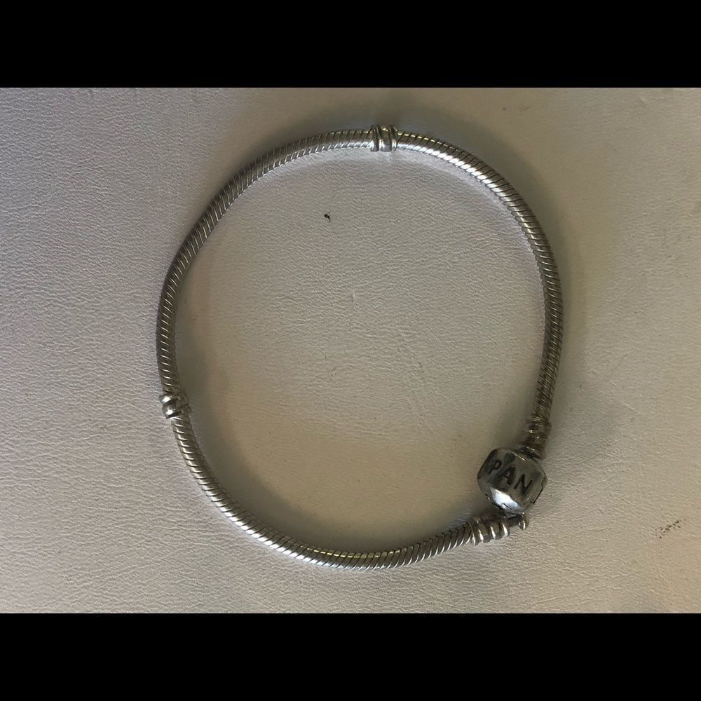 Pandora ALE Moments Snake bracelet Sterling 925